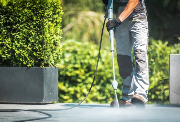Animal Enclosure Cleaning in Paradise Hills, NM