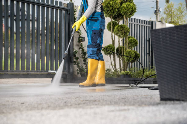 Best Gutter Cleaning  in Paradise Hills, NM